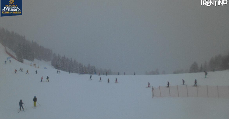 Webcam Skiarea Campiglio Dolomiti di Brenta Val di Sole Val Rendena - Pista delle Rocce - Folgarida