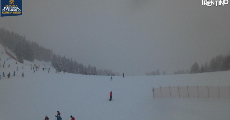 Webcam Skiarea Campiglio Dolomiti di Brenta Val di Sole Val Rendena - Pista delle Rocce - Folgarida