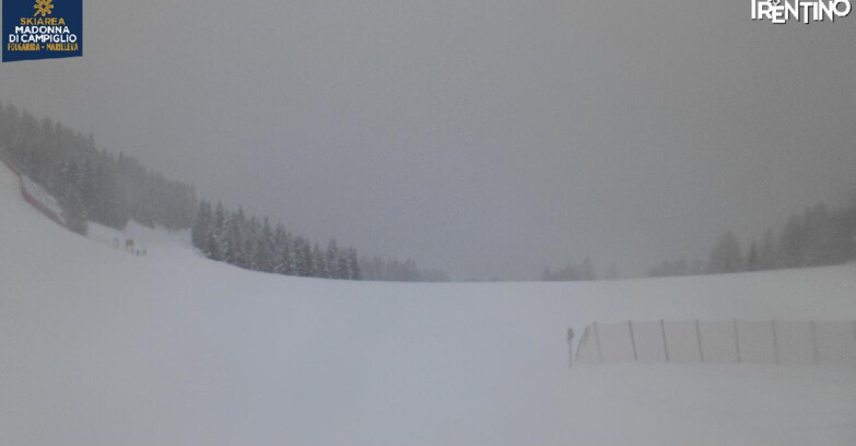 Webcam Skiarea Campiglio Dolomiti di Brenta Val di Sole Val Rendena - Pista delle Rocce - Folgarida