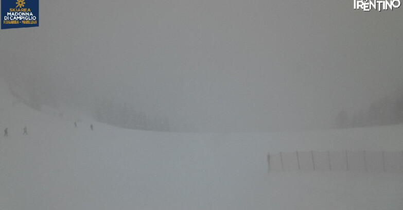 Webcam Skiarea Campiglio Dolomiti di Brenta Val di Sole Val Rendena - Pista delle Rocce - Folgarida