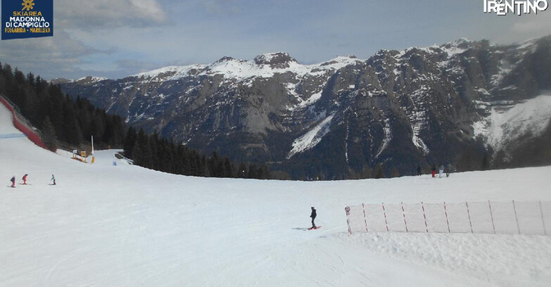Webcam Skiarea Campiglio Dolomiti di Brenta Val di Sole Val Rendena - Pista delle Rocce - Folgarida