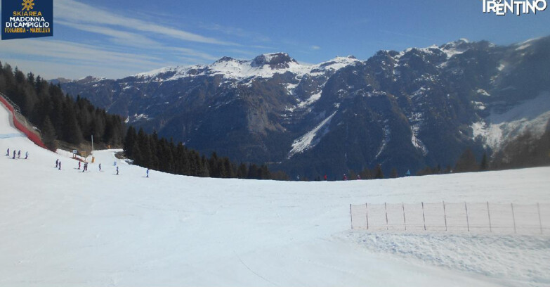 Webcam Skiarea Campiglio Dolomiti di Brenta Val di Sole Val Rendena - Pista delle Rocce - Folgarida