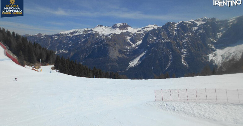 Webcam Skiarea Campiglio Dolomiti di Brenta Val di Sole Val Rendena - Pista delle Rocce - Folgarida