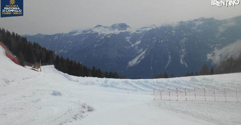Webcam Skiarea Campiglio Dolomiti di Brenta Val di Sole Val Rendena - Pista delle Rocce - Folgarida