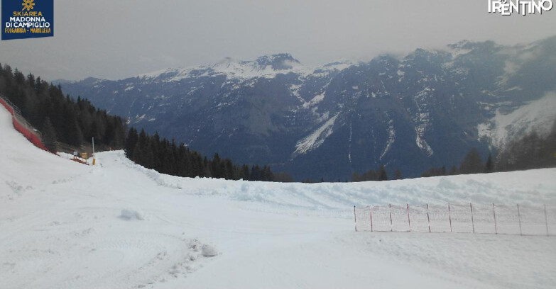 Webcam Skiarea Campiglio Dolomiti di Brenta Val di Sole Val Rendena - Pista delle Rocce - Folgarida