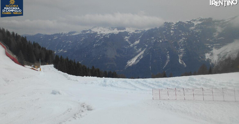 Webcam Skiarea Campiglio Dolomiti di Brenta Val di Sole Val Rendena - Pista delle Rocce - Folgarida