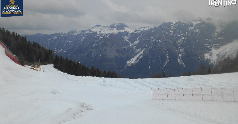 Webcam Skiarea Campiglio Dolomiti di Brenta Val di Sole Val Rendena - Pista delle Rocce - Folgarida