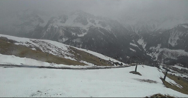 Webcam Pozza di Fassa-Aloch-Buffaure  - Pista Pala del Geiger