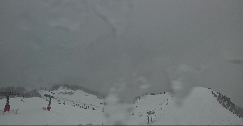 Webcam Поцца-ди-Фасса-Алок-Буффор  - Cima 11 e Cima 12