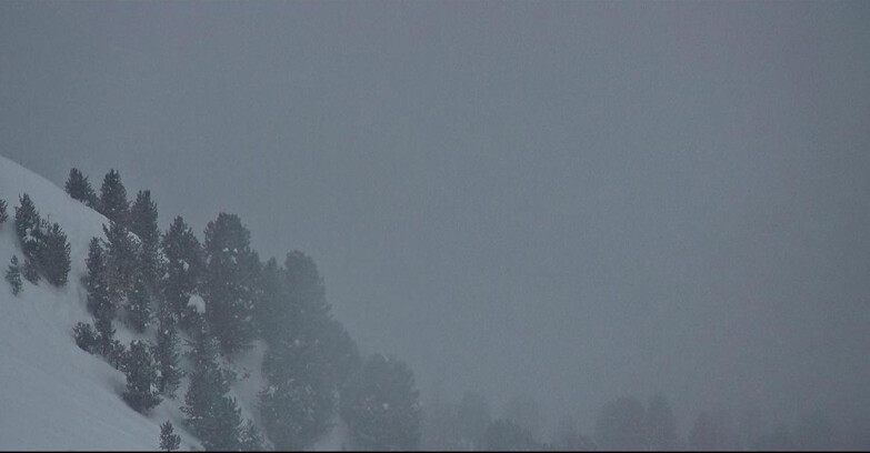 Webcam Pozza di Fassa-Aloch-Buffaure  - Panorama da Buffaure