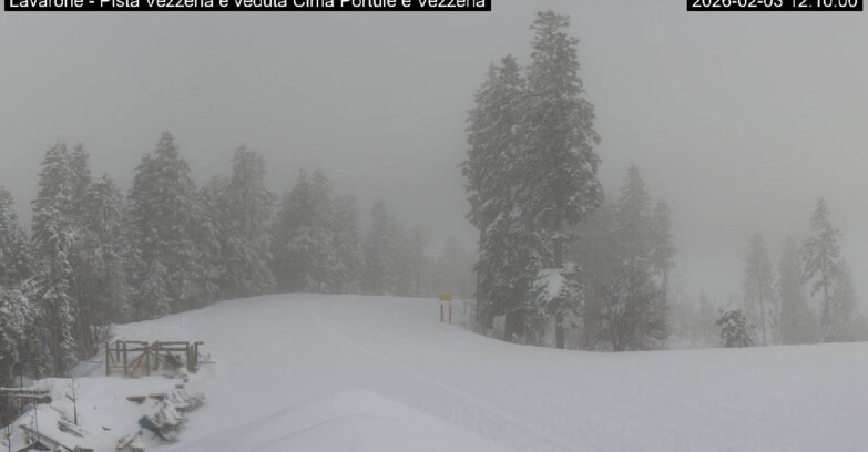 Webcam Lavarone Skigegiet - Vezzena Piste 