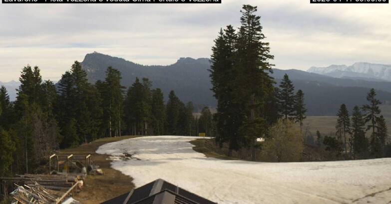 Webcam Ski Area Lavarone  - Piste Vezzena