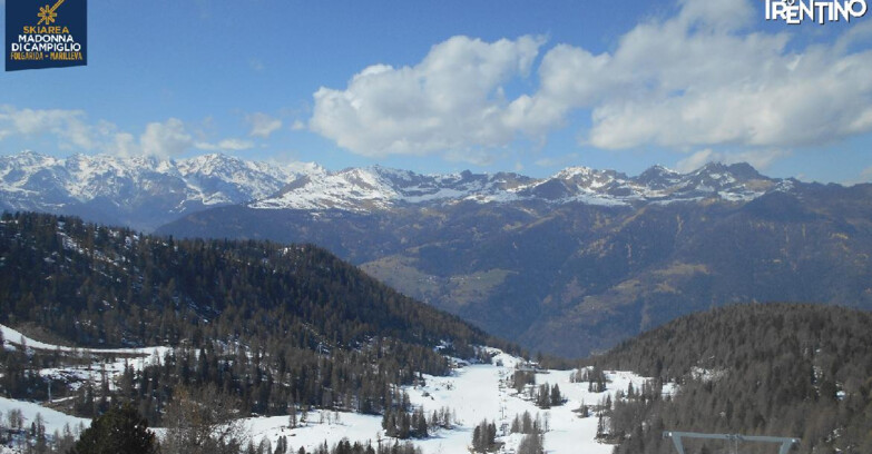 Webcam Skiarea Campiglio Dolomiti di Brenta Val di Sole Val Rendena - Val Panciana