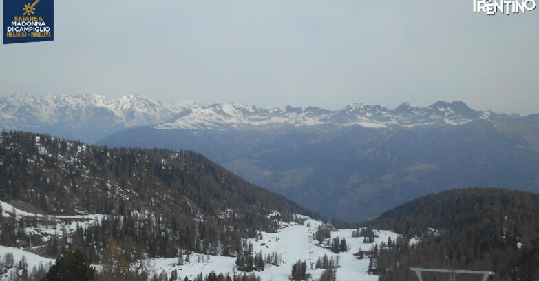 Webcam Skiarea Campiglio Dolomiti di Brenta Val di Sole Val Rendena - Val Panciana