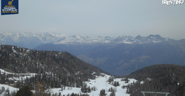 Webcam Skiarea Campiglio Dolomiti di Brenta Val di Sole Val Rendena - Val Panciana