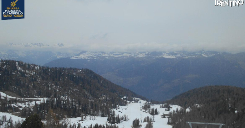Webcam Skiarea Campiglio Dolomiti di Brenta Val di Sole Val Rendena - Val Panciana