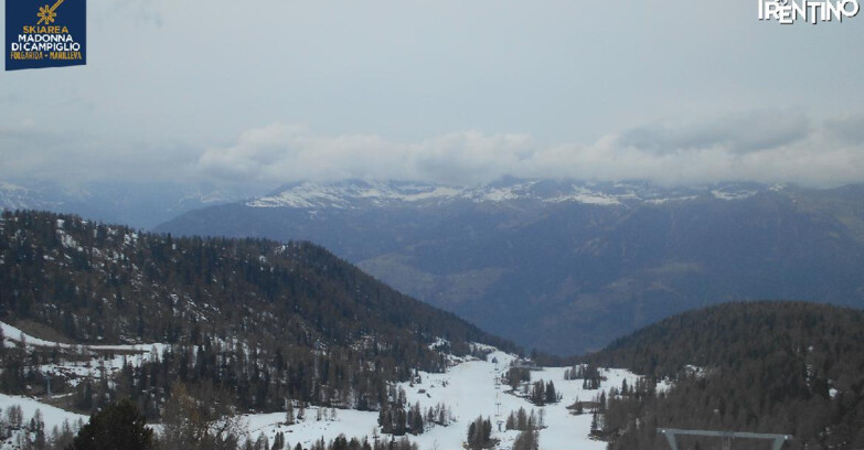 Webcam Skiarea Campiglio Dolomiti di Brenta Val di Sole Val Rendena - Val Panciana