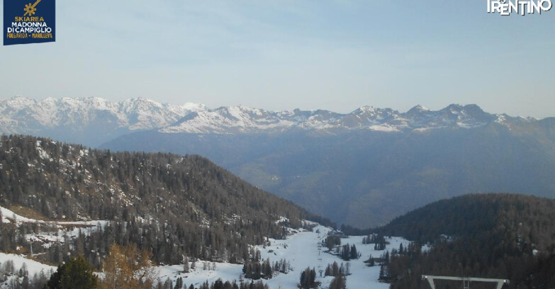 Webcam Skiarea Campiglio Dolomiti di Brenta Val di Sole Val Rendena - Val Panciana