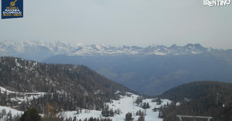Webcam Skiarea Campiglio Dolomiti di Brenta Val di Sole Val Rendena - Val Panciana