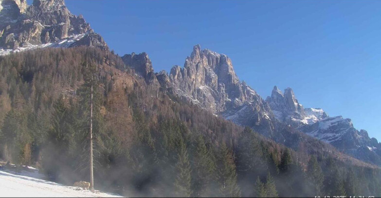 Webcam Сан-Мартино-ди-Кастроцца - Пассо-Ролле - Le Pale di San Martino