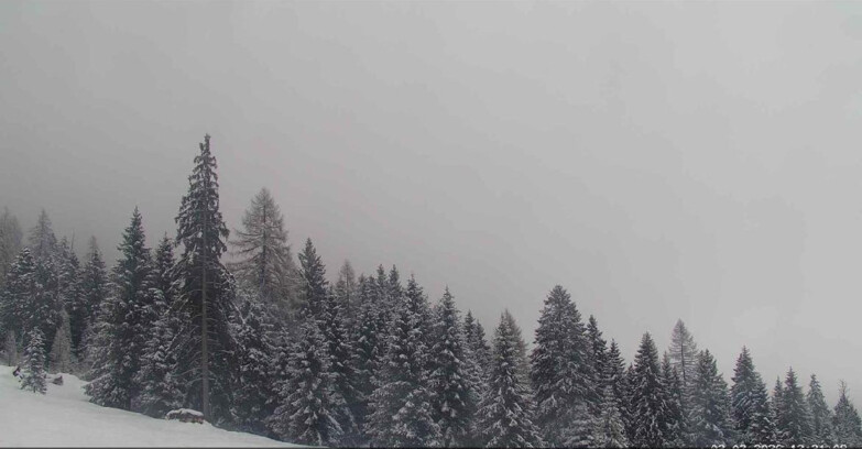 Webcam Сан-Мартино-ди-Кастроцца - Пассо-Ролле - Le Pale di San Martino