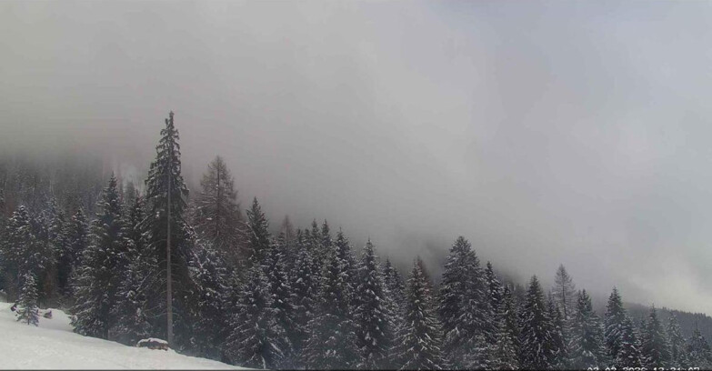 Webcam Сан-Мартино-ди-Кастроцца - Пассо-Ролле - Le Pale di San Martino