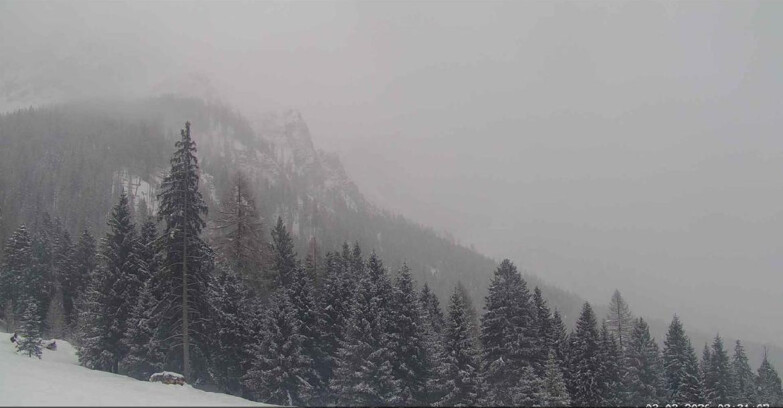 Webcam San Martino di Castrozza - Passo Rolle - Le Pale di San Martino