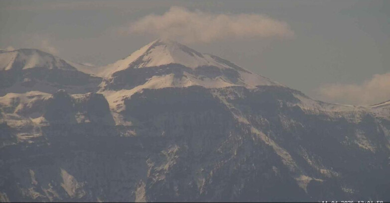 Webcam Сан-Мартино-ди-Кастроцца - Пассо-Ролле - Monte Pavione