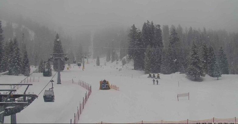 Webcam San Martino di Castrozza - Passo Rolle - Pista Col Verde