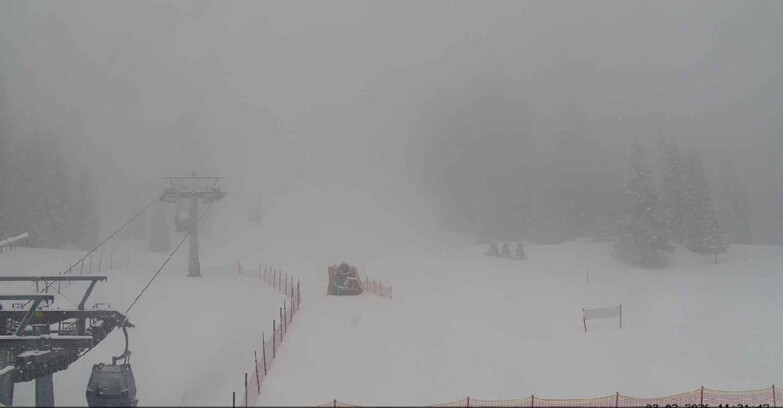 Webcam San Martino di Castrozza - Passo Rolle - Pista Col Verde