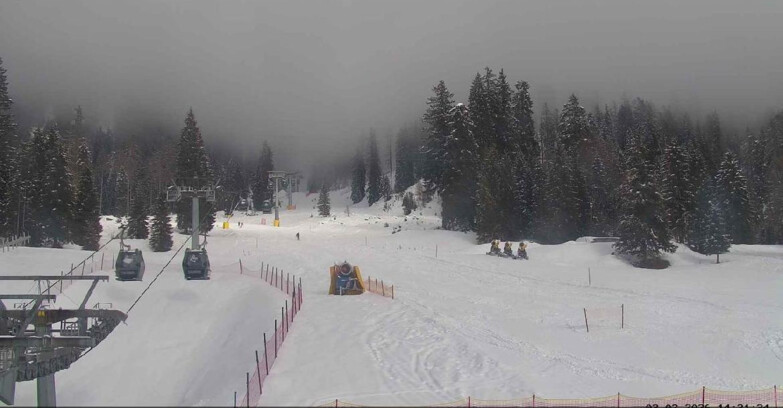 Webcam San Martino di Castrozza - Passo Rolle - Pista Col Verde
