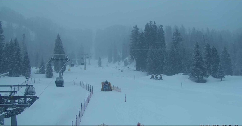 Webcam San Martino di Castrozza - Passo Rolle - Pista Col Verde