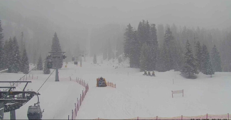 Webcam San Martino di Castrozza - Passo Rolle - Pista Col Verde