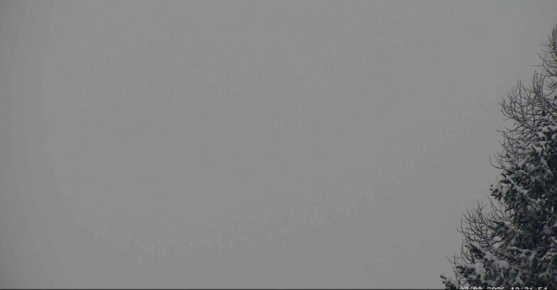 Webcam San Martino di Castrozza - Passo Rolle - Punta Ces 