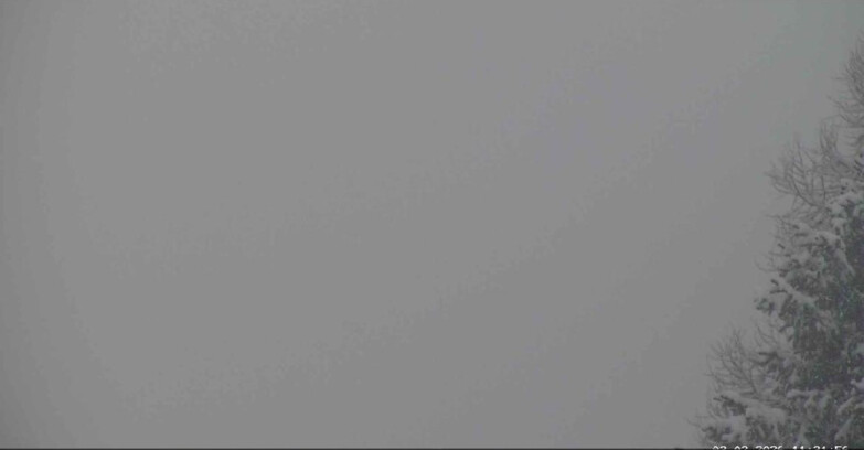 Webcam San Martino di Castrozza - Passo Rolle - Punta Ces 