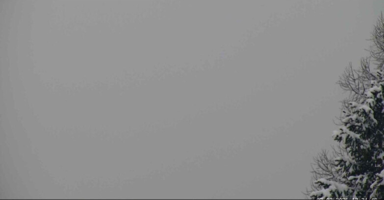 Webcam San Martino di Castrozza - Passo Rolle - Punta Ces 