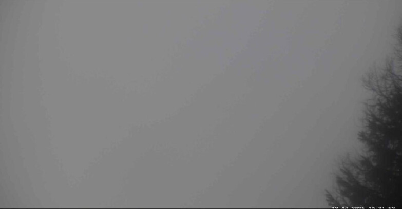 Webcam San Martino di Castrozza - Passo Rolle - Punta Ces 