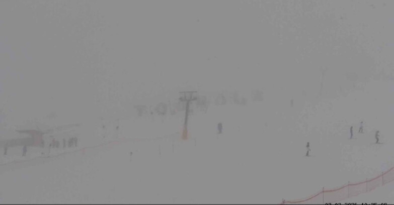 Webcam San Martino di Castrozza - Passo Rolle - Tognola Park