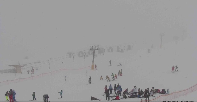 Webcam San Martino di Castrozza - Passo Rolle - Tognola Park