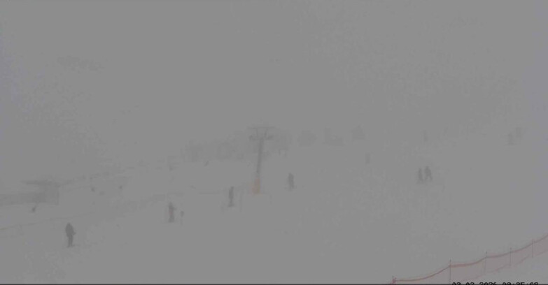 Webcam San Martino di Castrozza - Passo Rolle - Tognola Park