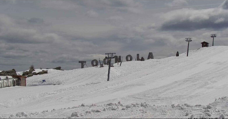 Webcam San Martino di Castrozza - Passo Rolle - Tognola Park