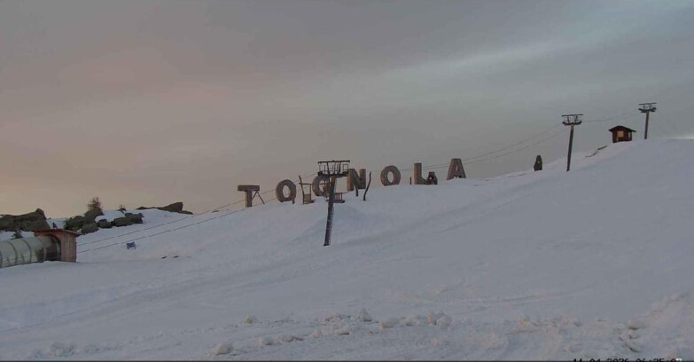 Webcam Сан-Мартино-ди-Кастроцца - Пассо-Ролле - Tognola Park