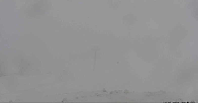 Webcam San Martino di Castrozza - Passo Rolle  - Tognola Park