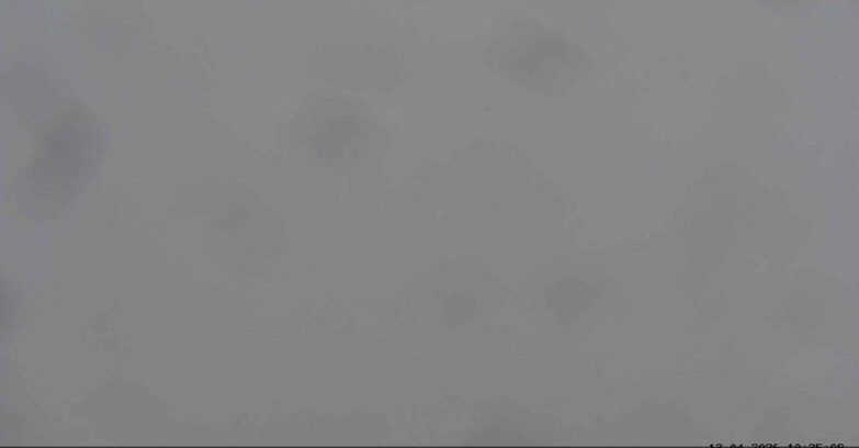 Webcam San Martino di Castrozza - Passo Rolle  - Tognola Park