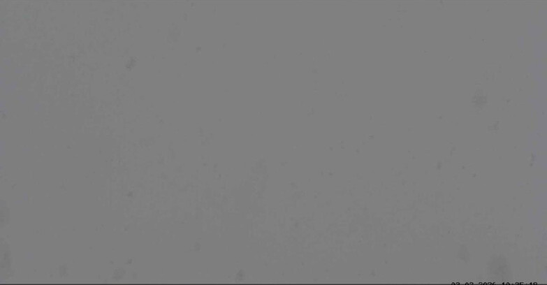 Webcam San Martino di Castrozza - Passo Rolle - Sentiero delle Marmotte