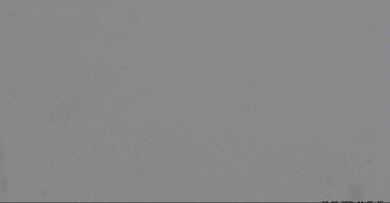 Webcam San Martino di Castrozza - Passo Rolle - Sentiero delle Marmotte