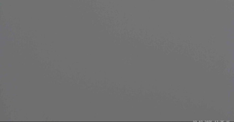 Webcam Сан-Мартино-ди-Кастроцца - Пассо-Ролле - Sentiero delle Marmotte