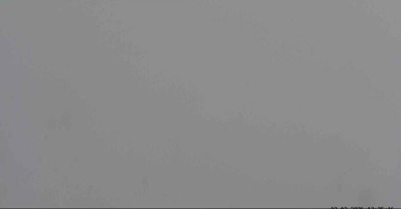 Webcam Сан-Мартино-ди-Кастроцца - Пассо-Ролле - Sentiero delle Marmotte