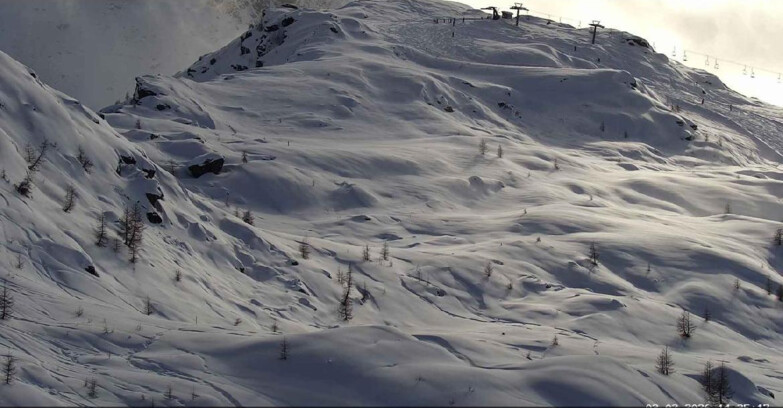 Webcam Сан-Мартино-ди-Кастроцца - Пассо-Ролле - Sentiero delle Marmotte