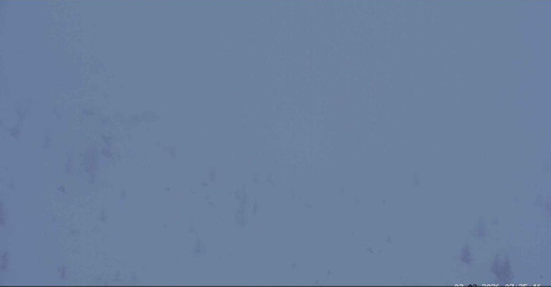 Webcam San Martino di Castrozza - Passo Rolle - Sentiero delle Marmotte